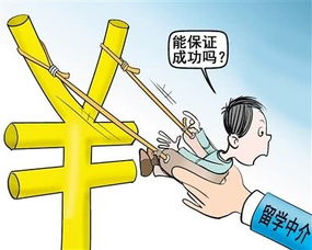 自費(fèi)留學(xué)陷阱多 選中介要看 資格認(rèn)定書(shū)